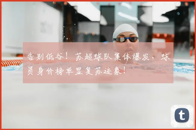 告别低谷！苏超球队集体爆发，球员身价榜单显复苏迹象！