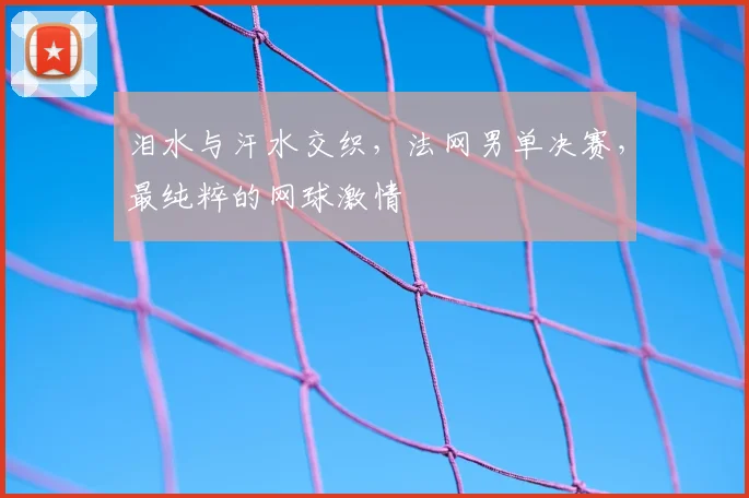 泪水与汗水交织，法网男单决赛，最纯粹的网球激情